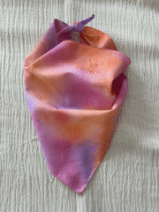 Pati Bandana _ Fun 06 (Küçük/orta ırk)
